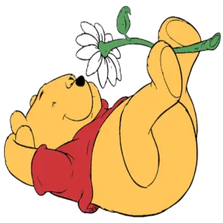 🌺 Winnie the Pooh Ursinho Pooh, desenho animado, flor, urso, Disney, relaxante telegram sticker