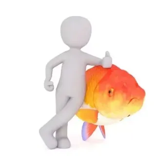 🐠 figure, goldfish, cartoon, fish, 3d, animal telegram sticker