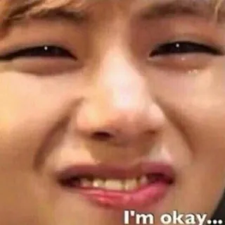 😭 I'm okay... meme, funny, expression, face, reaction, okay telegram sticker