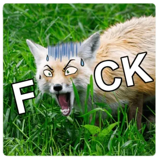 😨 FCK fox, offensive, profanity, animal, meme telegram sticker