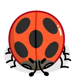 🤨 mariquita, insecto, bicho, animal, naturaleza, fauna, rojo, negro whatsapp sticker