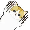 🐱