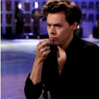🌿 Harry Styles harry styles, chanteur, musicien, célébrité telegram sticker