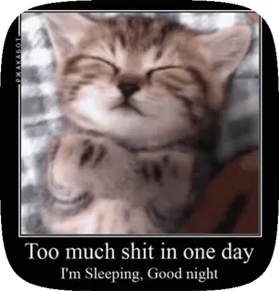 🌟 Too much shit in one day
I'm Sleeping, Good night gato, gatinho, sono, fofo, cansado whatsapp sticker