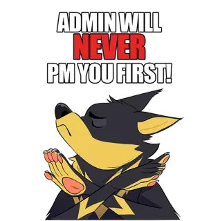 🙅‍♂️ ADMIN WILL NEVER PM YOU FIRST! админ, никогда, ЛС, первый, собака, мультик, безопасность в интернете telegram sticker