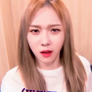 🌸 whatsapp sticker