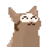 😸