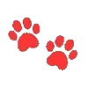 🐾