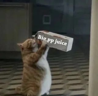 😨 Big pp juice Katze, Meme, Anstößig, Humor telegram sticker