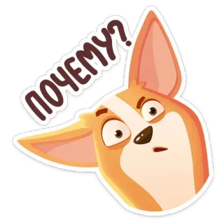 ❓ почему? cachorro, corgi, pergunta, expressão, desenho animado telegram sticker