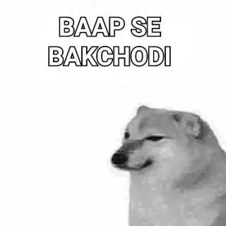 🙂 BAAP SE BAKCHODI anjing, meme, ofensif, humor, gaul whatsapp sticker