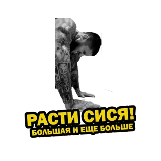 💪 РАСТИ СИСЯ! БОЛЬШАЯ И ЕЩЕ БОЛЬШЕ whatsapp sticker