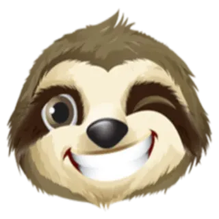 😉 preguiça, animal, fofo, piscadela, engraçado, desenho animado whatsapp sticker