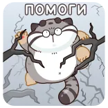 🤩 ПОМОГИ 猫, 可爱, 动物, 帮助, 贴纸 telegram sticker