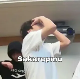 💰 Sakarepmu whatsapp sticker