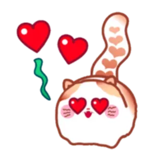 😍 gato, corações, amor, fofo, animal telegram sticker