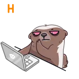 Honey Badger telegram stickers