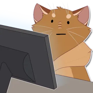 😶 gato, ordenador, meme, animal, gracioso, internet telegram sticker