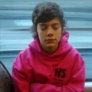 🍩 Harry Styles harry styles, singer, celebrity, person, pink hoodie telegram sticker