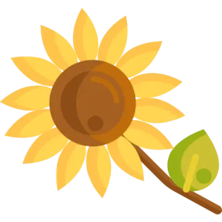 🌼 Sonnenblume, Blume, Pflanze, Natur, Gelb, Blumenmuster, Sommer whatsapp sticker