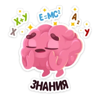 😇 ЗНАНИЯ connaissance, cerveau, éducation, maths, science whatsapp sticker