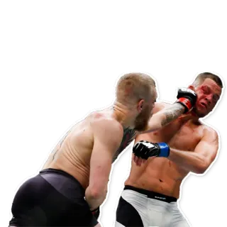 🐸 fighting, boxing, punch, blood, sports, mma, ufc telegram sticker