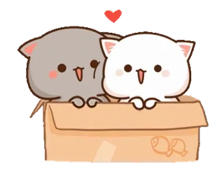 🥰 gatto, animali, carino, amore, scatola, kawaii, gattino telegram sticker