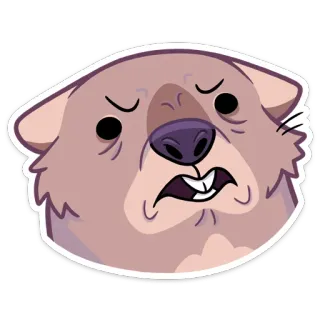 😠 wombat, animal, desenho animado, engraçado, expressão, adesivo telegram sticker