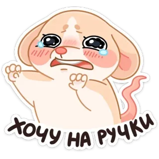 😭 ХОЧУ НА РУЧКИ mouse, cute, cartoon, cry, pleading, adorable telegram sticker