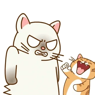 😾 gatos, raiva, alegria, animais, emoções, fofo telegram sticker