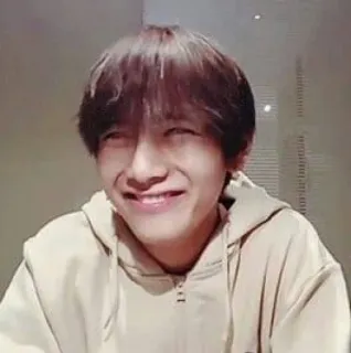 🐯 pessoa, homem, sorriso, feliz, retrato, kpop, v telegram sticker