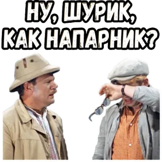 😉 НУ, ШУРИК, КАК НАПАРНИК? telegram sticker