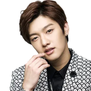 🤔 man, korean, actor, singer, portrait, asian, fashion telegram sticker