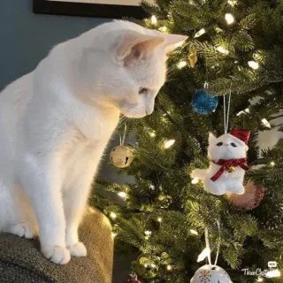 🤩 cat, christmas, tree, ornament, holiday, animal, white cat, decoration telegram sticker