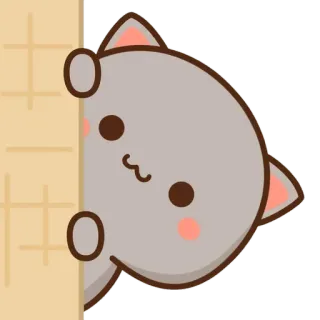 👀 Katze, süß, Tier, gucken, Cartoon telegram sticker