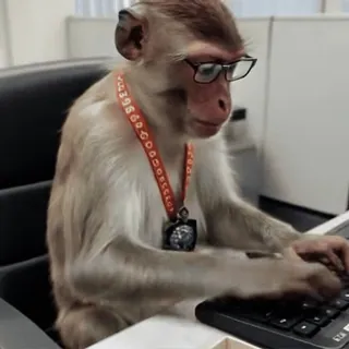 👨💻 monkey, office, typing, glasses, animal, funny telegram sticker