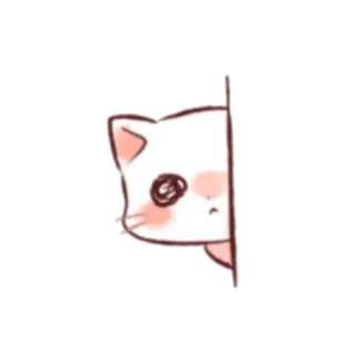 👀 кот, подглядывает, животное, наклейка, милый, каваий whatsapp sticker