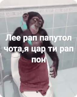🌟 Лее рап папутол чота,я цар ти рап пон scimmia, asciugamano, gabinetto, bagno, russo, scimmia antropomorfa whatsapp sticker