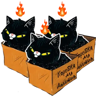 👨‍👧‍👧 коробка для долбоебов 猫, 盒子, 侮辱, 俄语, 贴纸 telegram sticker