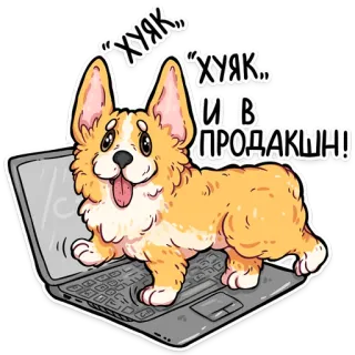 корги кодеры (@kotypic) whatsapp stickers