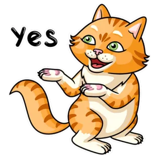 ✅ yes แมว, ใช่, ตกลง, ยืนยัน, น่ารัก, สัตว์ whatsapp sticker
