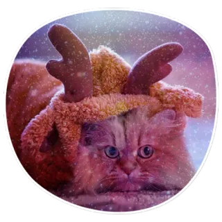 😟 cat, reindeer, christmas, animal, cute, winter, pet telegram sticker