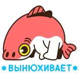 🐽 I'M NOT OKAY! Kartun, Ikan, Sedih, Pernyataan, Emosional telegram sticker