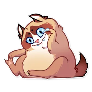 😂 gato, animal, fofo, adesivo, engraçado, desenho animado whatsapp sticker