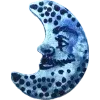 🌚