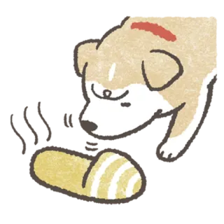 😖 개, 동물, 애완동물, 슬리퍼, 귀여운 telegram sticker