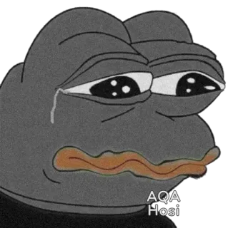😓 AQA Hosi pepe, verdrietig, kikker, meme, internet meme telegram sticker