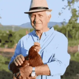 🐔 Mann, Huhn, Bauernhof, Hut, Tier telegram sticker