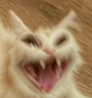 ‼️ Katze, wütend, gähnen, gruselig telegram sticker