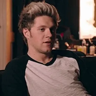 🌙 Niall Horan Musiker, Sänger, One Direction, Promi, Porträt telegram sticker